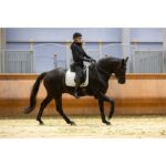 HKM Saddle cloth -Livigno Elegance- - Image 11