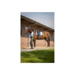 BR Event Saddle Pad Cooldry® Dressage - Image 5