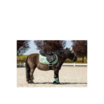 BR Mini Horse Saddle Pad - Image 5