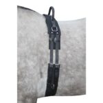 HKM Lunge roller with handle