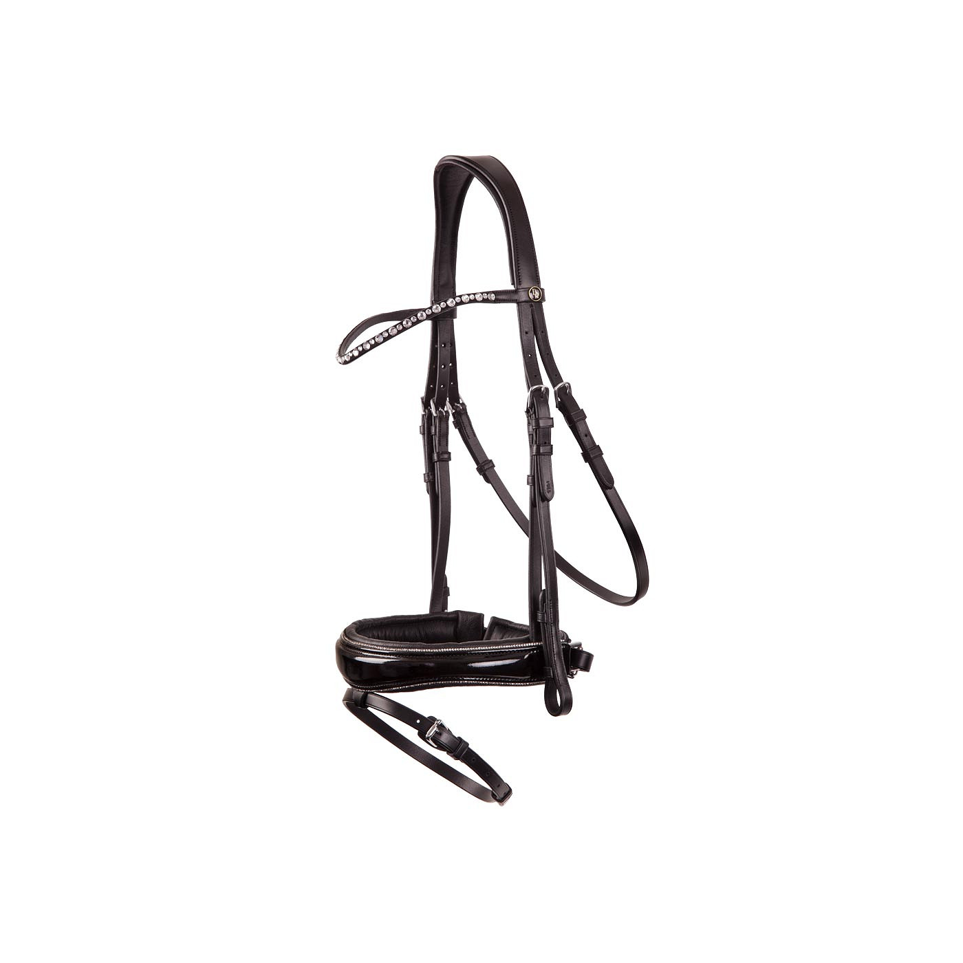 BR Bridle Bristol