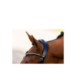 BR Bridle Lynton - Image 4