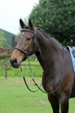 HORKA Bridle Bitless - Image 4