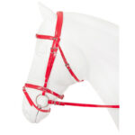 HORKA Bridle Pvc FLASHY - Image 5