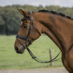 HORKA Bridle Flamingo - Image 2