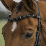 HORKA Bridle Flamingo - Image 3