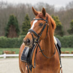 HORKA Bridle DELUXE - Image 2