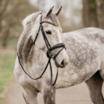 HORKA Bridle Gatsby - Image 3