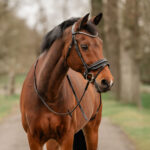 HORKA Bridle Filius - Image 4