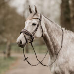 HORKA Bridle Filius - Image 8