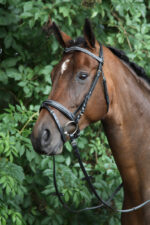 HORKA Bridle Verdi - Image 2