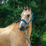 HORKA Halter set CLASSIC DELIGHT - Image 2