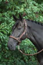 HORKA Halter Nubuck - Image 6