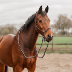 HORKA Rope halter set TWO-TONE - Image 2