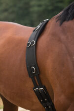 HORKA Lunging roller with PADDED WITHERS