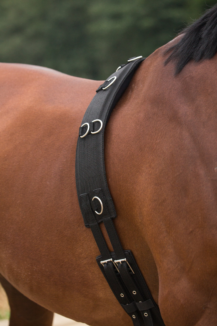 HORKA Lunging roller with PADDED WITHERS