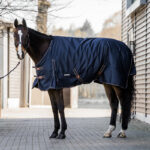 HORKA Turnout rug dime 600D 200G + neck piece (145cm/FULL)
