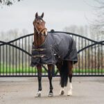 HORKA Turnout rug dime 600D 200G - Image 3