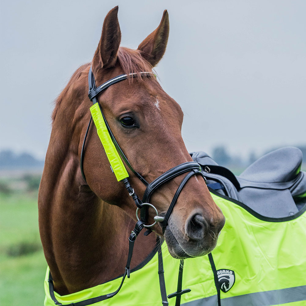 HORKA Reflective Rein/bridle COVER