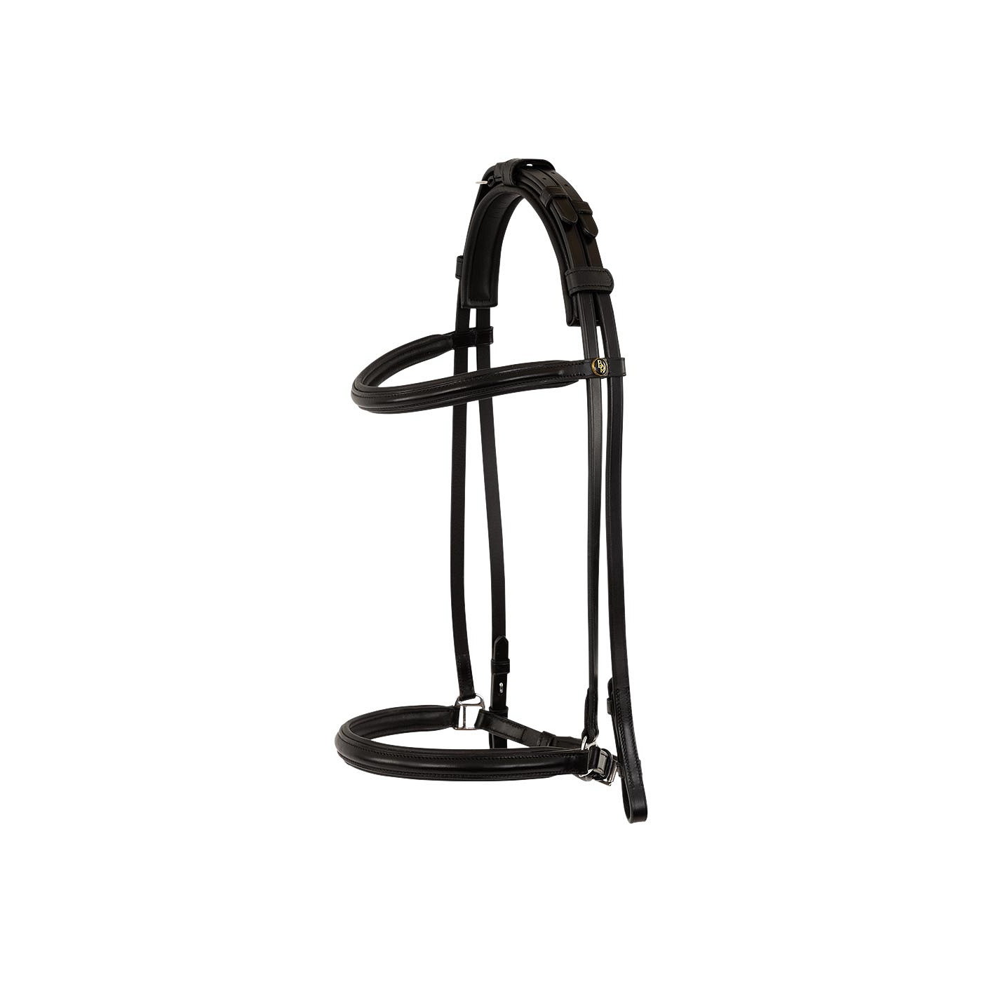 BR Islandic Bridle Bourne