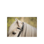 BR Islandic Bridle Bourne - Image 5