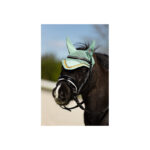 BR Mini Bridle Horwich - Image 2