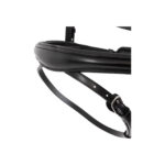 BR Bridle Credition - Image 2