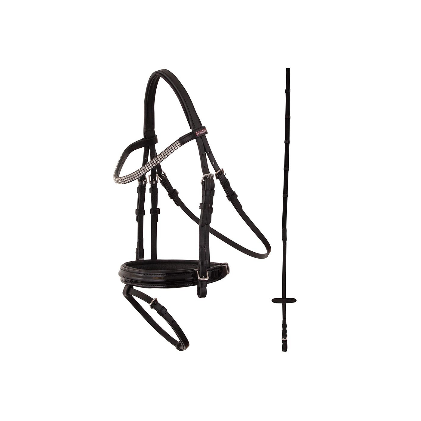 PREMIERE Bridle Ajaccio