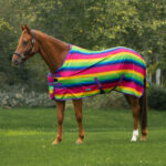 HORKA Fly sheet with PRINT - Image 7