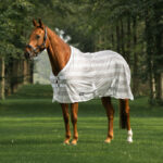 HORKA Fly sheet with STRIPES - Image 2