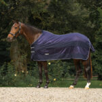 HORKA Fly Sheet CUSTOMIZABLE - Image 2