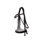 BR Weymouth Bridle Wendover