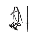 BR Bridle Lewes Side and Pull