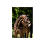 BR Bridle Lewes Side and Pull - Image 3