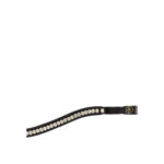 BR Browband Bridgnorth for Bromyard (magnet) - Image 2