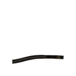 BR Browband Bridgwater for Bromyard (magnet) - Image 2