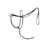 BR Market Harborough Lancaster with Martingale