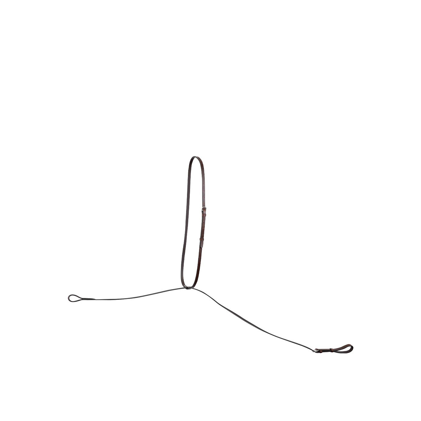 BR Martingale Hinckly standing