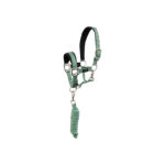 BR Mini-Horse Halter with Lead