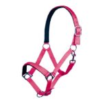 HKM Head collar -Stars Softice- with neoprene padding - Image 8