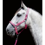 HKM Head collar -Stars Softice- with neoprene padding - Image 2