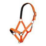 HKM Head collar -Stars Softice- with neoprene padding - Image 5