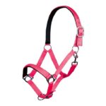 HKM Head collar -Stars Softice- with neoprene padding - Image 3