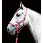 HKM Head collar -Stars Economy Softice- - Image 2