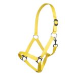 HKM Head collar -Stars Economy Softice-
