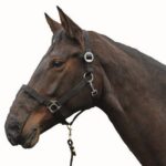 HKM Nose nets, set of 3