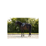 BR Event Tendon Boots - Image 21