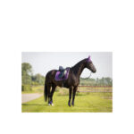 BR Event Fetlock Boots non-elastic - Image 4