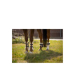 BR Fetlock Boots Urban Comfort - Image 5