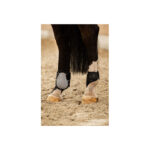 BR CLX XO2 Fetlock Boots - Image 3